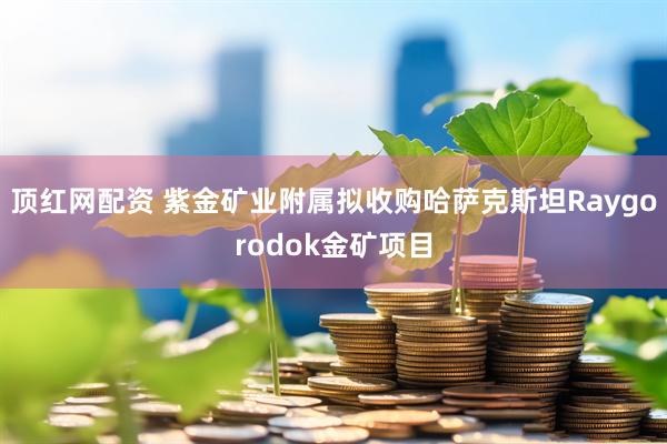 顶红网配资 紫金矿业附属拟收购哈萨克斯坦Raygorodok金矿项目