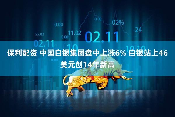保利配资 中国白银集团盘中上涨6% 白银站上46美元创14年新高